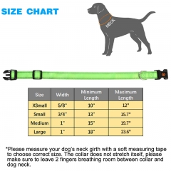 Large Medium Small Premium Soft Padded Reflective Nylon Dog Collar
