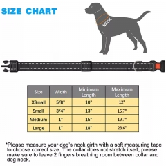 Nylon Dog Collars Leash Personalized Designer Custom Training Pet Products Leashes Set
