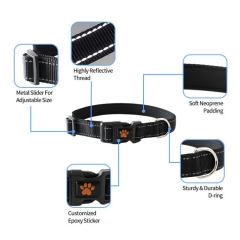 Nylon Soft Dog collar leash Personalized Designer Fashion Pet products Custom Training Leashes Set