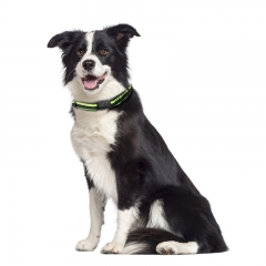 Reflective Custom Designer Luxury Nylon Dog Collars Training Metal Buckle Personalized Dog Collar