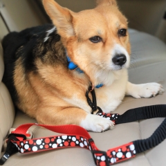 Printing Sublimation Adjustable Nylon Safety Bungee Pet Dog Cat Car Seat Belt