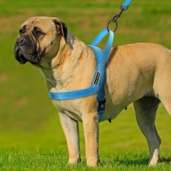 Custom Nylon Mesh Padded Quick Fit Safety Lithe Handle Reflective Soft Training Pet Dog Harness