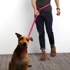 Adjustable Training Custom Nylon Designer Smart Running Reflective Hands Free Dog Leash