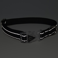 Neoprene Padded Amazon LED Glowing Reflective Nylon Heavy Duty Dog Soft Collar And Leash Set For Dog