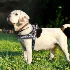 Paw Pattern Large Big Dog Reflective Harness Walk Custom Small Nylon Dog Harness Leash Set