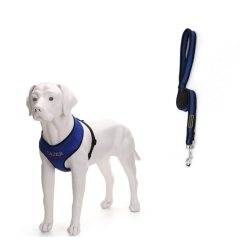 Soft Breathable Vest Air Mesh Dog Leashes Harness Designer Sets Walk Custom Dogs Harness Leash Set