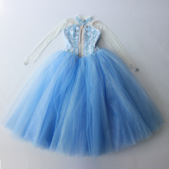 Waltz Of The Snowflakes Costume