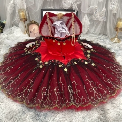 Don Quixote Dance Costume