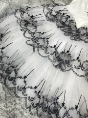 Don Quixote Kitri Ballet Costume