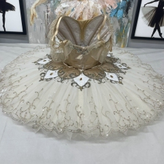 Cinderella Dance Ballet Tutu