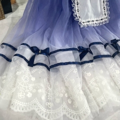 Costume In Giselle