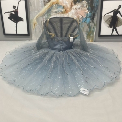 Cinderella Dance Ballet Costume