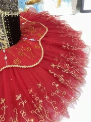 Don Quixote Ballerina Dress
