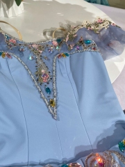 Cinderella Dance Costume