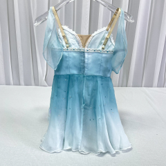 Talisman Ballerina Costume