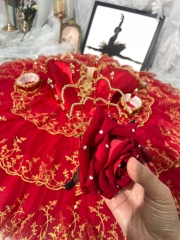 Red Kitri Ballet costume Tutu