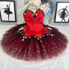 Don Quixote Dance Costume