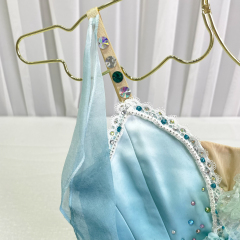 Talisman Ballerina Costume
