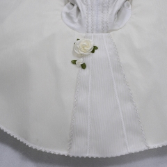 The Lady of the Camellias Ballet Tutu