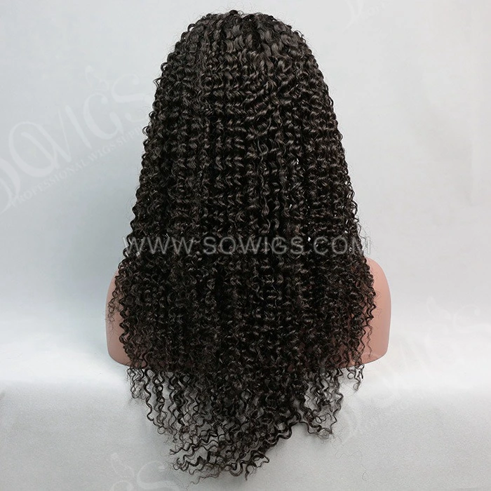 Deep Curly 13*4 Lace Front Wigs 130% Density Lace Wigs Virgin Human Hair Natural Color Natural Hairline