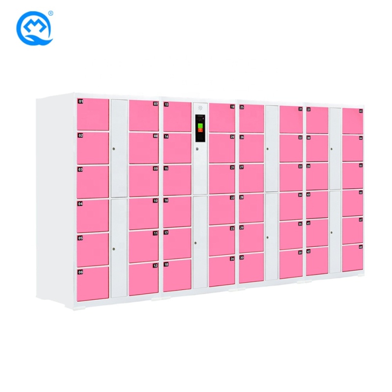 Swimming Pool Locker High Quality 48 doors Face Recognition Cold Rolled Steel Plate Electronic Locker