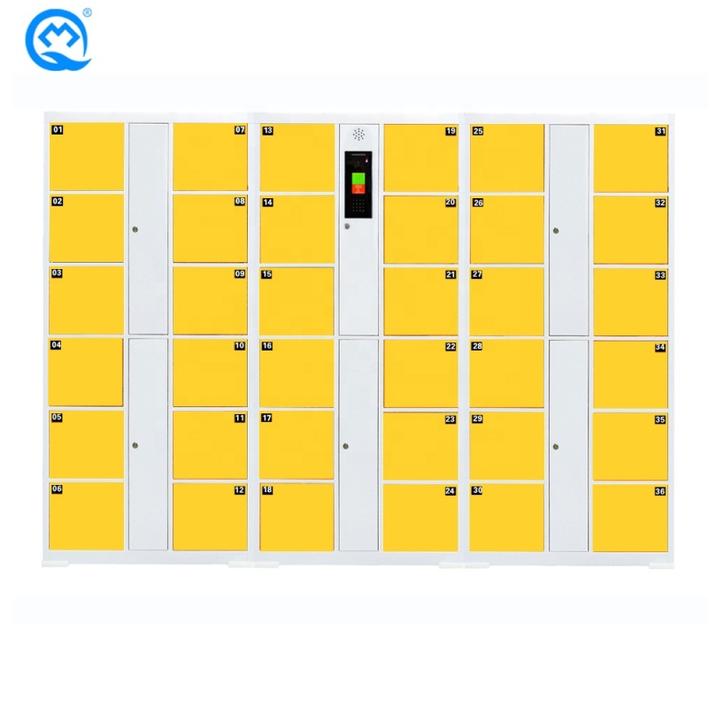 Locker 36 doors Hot Sale Face Recognition Cold Rolled Steel Golf Club / Gym Electronic Locker