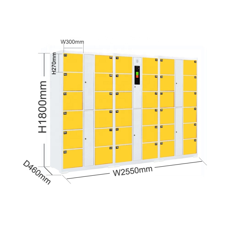 Locker 36 doors Hot Sale Face Recognition Cold Rolled Steel Golf Club / Gym Electronic Locker