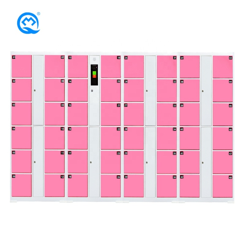 Swimming Pool Locker High Quality 48 doors Face Recognition Cold Rolled Steel Plate Electronic Locker