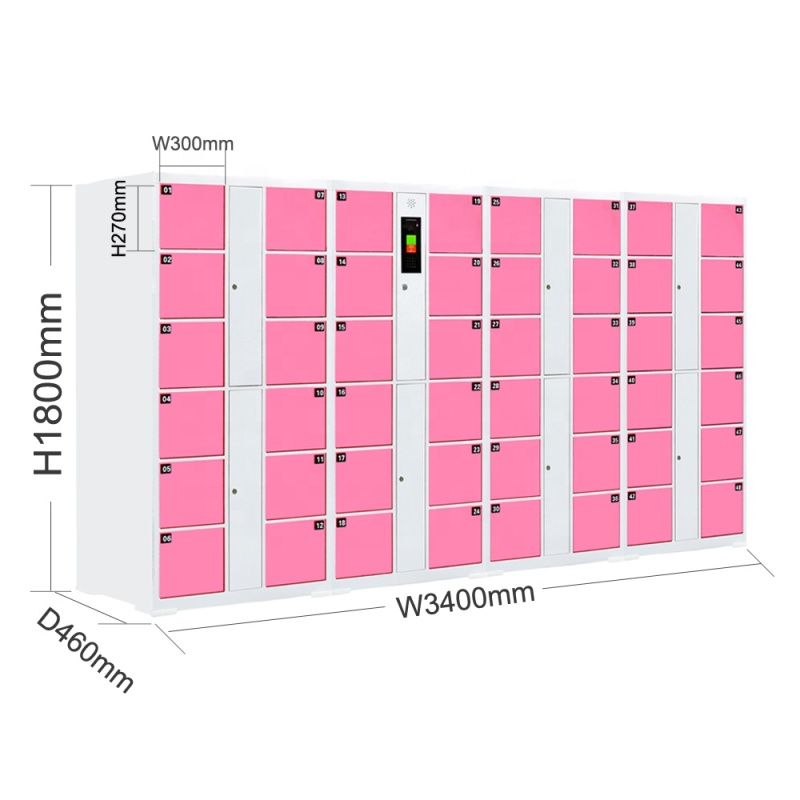 Swimming Pool Locker High Quality 48 doors Face Recognition Cold Rolled Steel Plate Electronic Locker