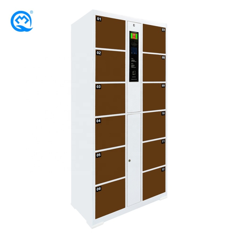 Intelligent Electronic locker High Quality Cold Rolled Steel Fingerprint Recognition 12 doors Locker For Supermarket/School
