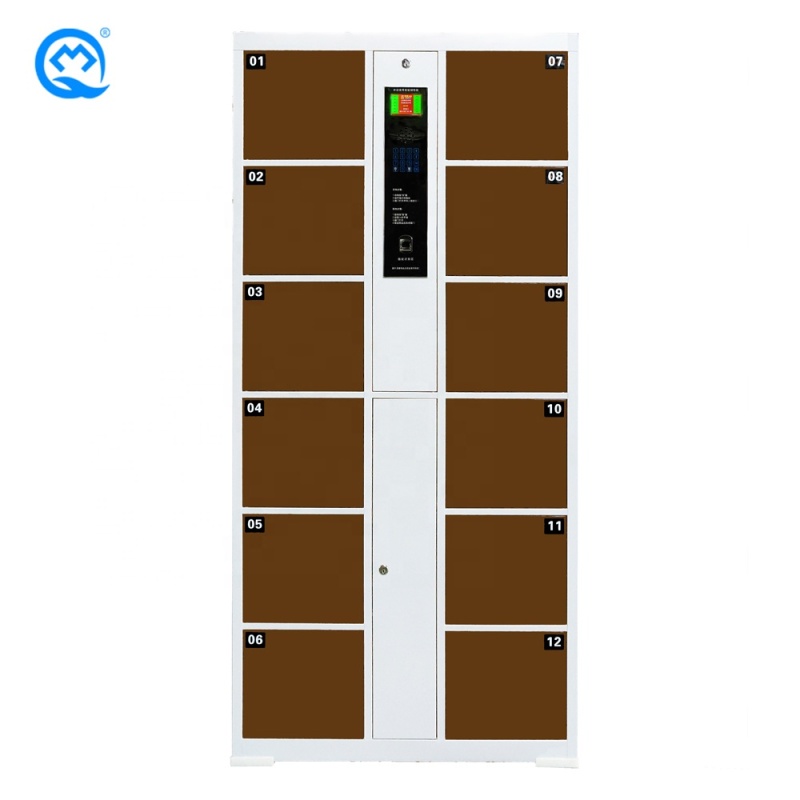 Intelligent Electronic locker High Quality Cold Rolled Steel Fingerprint Recognition 12 doors Locker For Supermarket/School