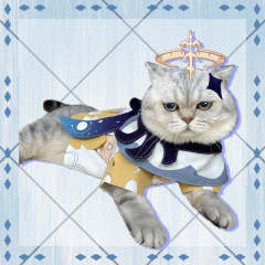 Genshin Impact Paimon Pets Cosplay Costume