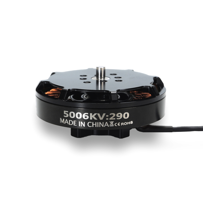 Tarot 5006 290KV 6S  Martin Brushless Motor for Long Endurance Multirotor TL50M06