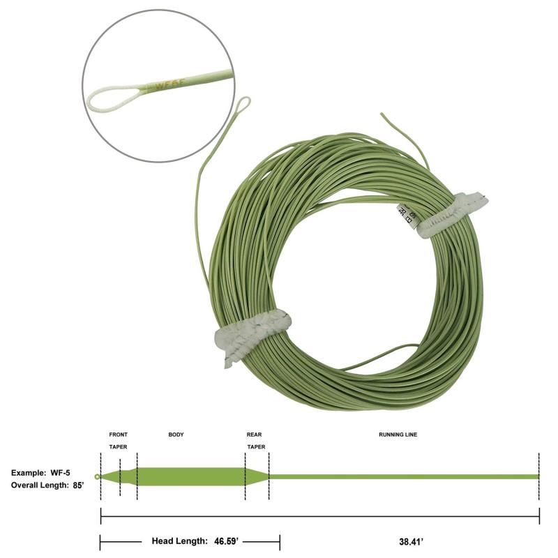 Aventik Trout Fly Fishing Line Weight Forward Floating Fly Line with Exposed Loop Easy Line ID