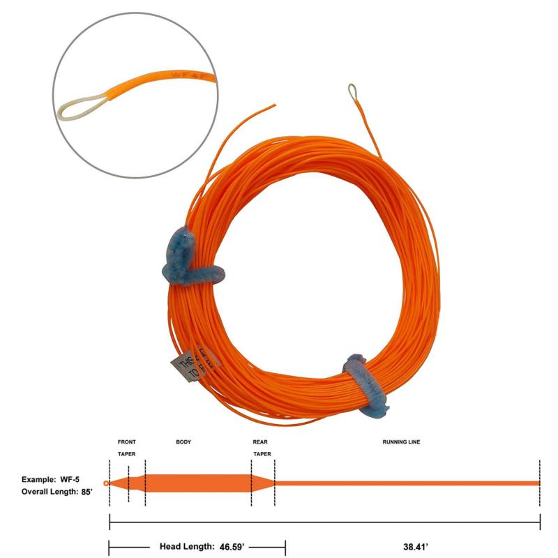 Aventik Trout Fly Fishing Line Weight Forward Floating Fly Line with Exposed Loop Easy Line ID