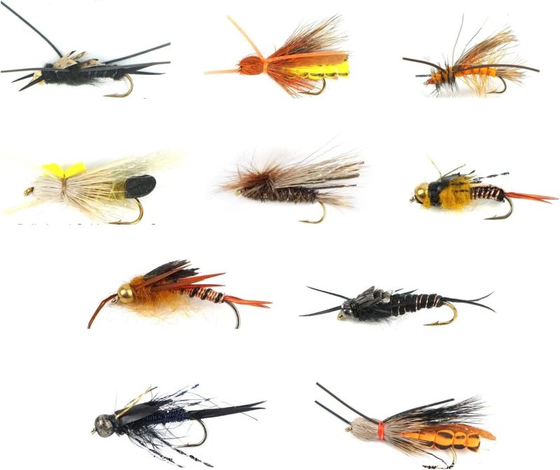 Best Assortment Flies Combo Carp Flies Wet Trout Fishing Flies Dry Flies,Nymphs,Streamers,Salt Water Flies with Silicone Fly Box Packing