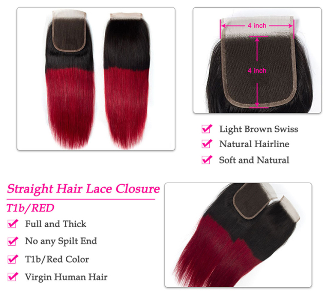 T1b/Burgundy Hair 3 Bundles with Closure Red Brazilian Straight Virgin Human Hair