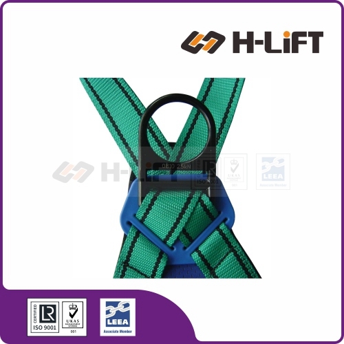 Safety Harness and Safety Lanyard
