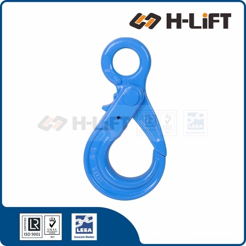 Grade 100 Eye Self Locking Hook ESK type