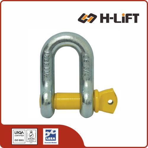 Screw Pin Chain Shackle