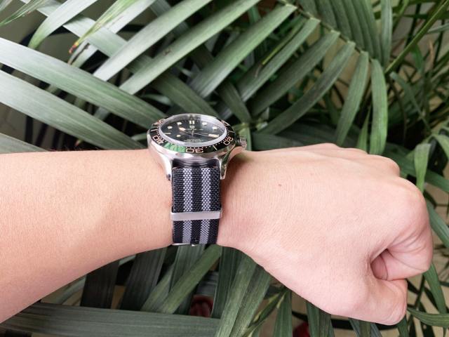 PAGANI DESIGN Original Nato Watchband 20mm Fashion Strap