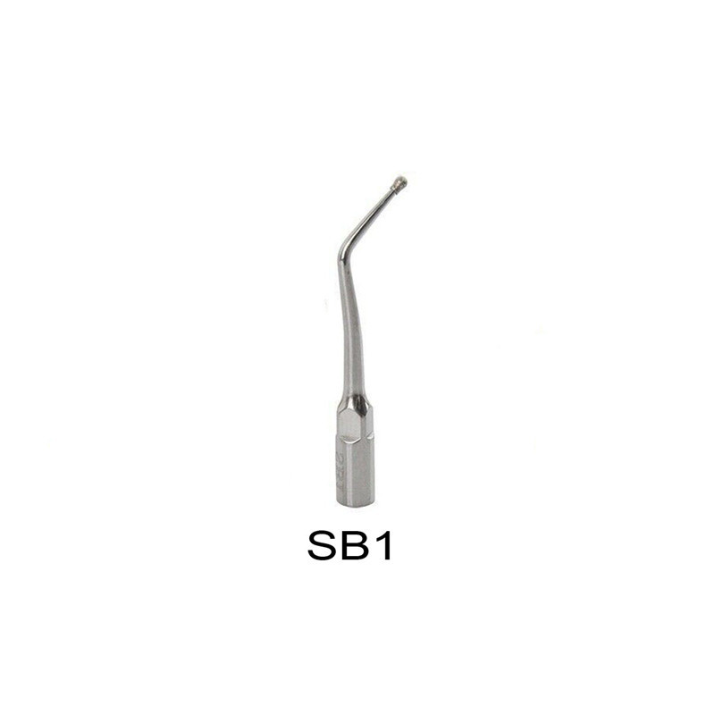 Dental Ultrasonic Scaler Endo Perio Tip SB1