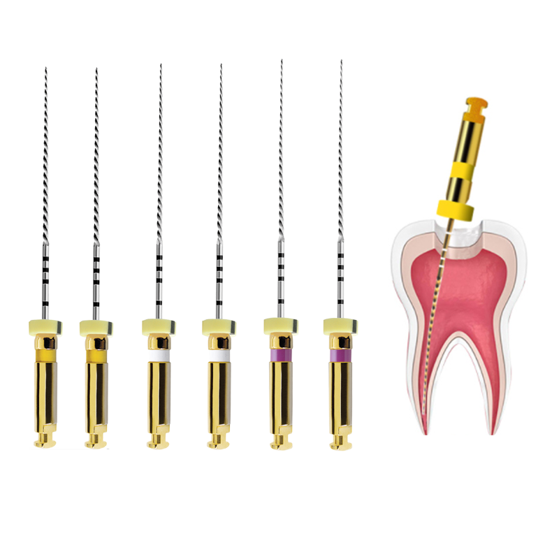 Dental Endo Rotary NITI File X-PATH Engine Root Canal Treatment 21mm/25MM/31MM 13#-19