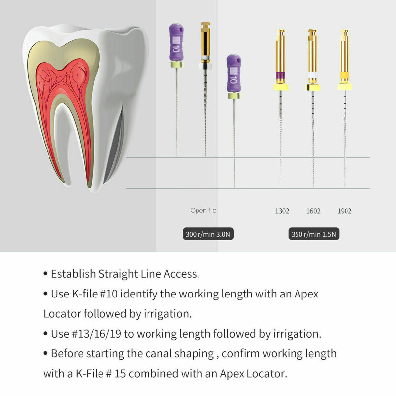 Dental Endo Rotary NITI File X-PATH Engine Root Canal Treatment 21mm/25MM/31MM 13#-19