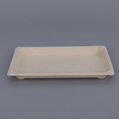 EG-1.5 sushi container sushi box