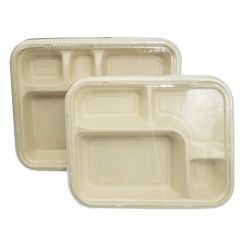 CJ3062 Pulp packaging box