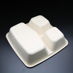 Bagasse Square Container 48oz 3 section with PET Lid 1x300PCS