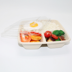 Bagasse Square Container 48oz 3 section with PET Lid 1x300PCS