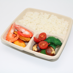 Bagasse Square Container 48oz 3 section with PET Lid 1x300PCS