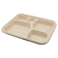 CJ3062 Pulp packaging box